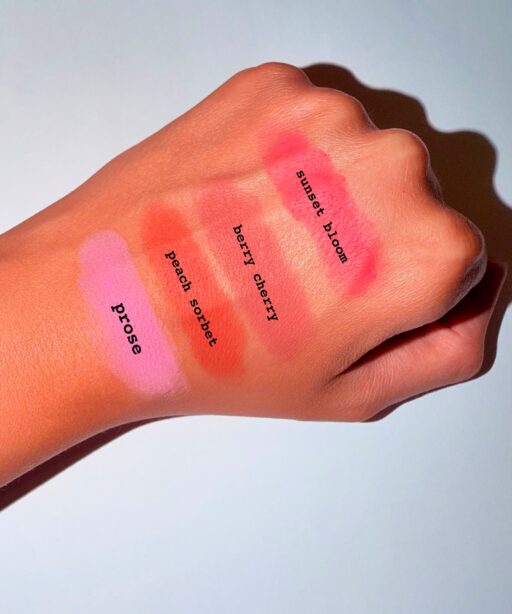Alternative view of powder blush