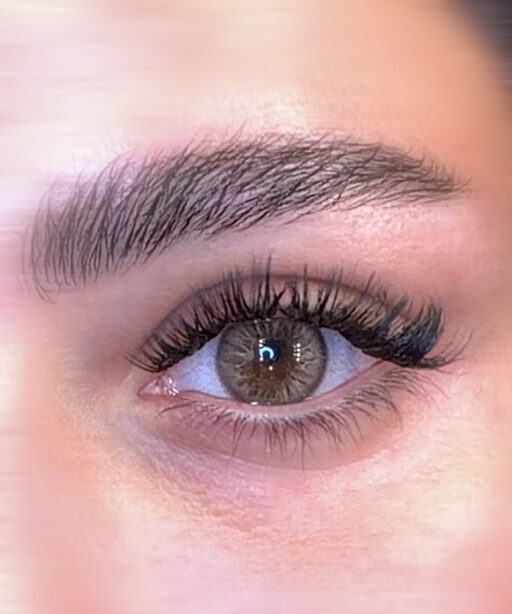 lenses
